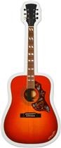 Hummingbird Acoustic Guitar Die Cut Magnet Hummingbird Acoustic Guitar Die Cut Magnet