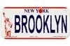 Brooklyn Bike Plate