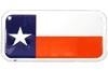 Texas State Flag Bike Plate