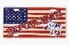 Republican with Flag License Plate
