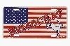 Democrat with Flag License Plate